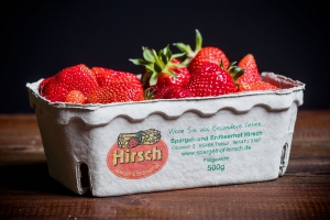 Schale mit 500 g großen Erdbeeren vom Spargel- und Erdbeerhof Hirsch in Trebur 500 g